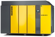 Винтовой компрессор Kaeser DSG 290-2 6 RD