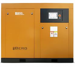 Винтовой компрессор Berg ВК-55Р-Е 16 — фото 1