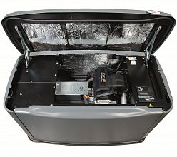 Газовый генератор Pramac GA8000 — фото 5